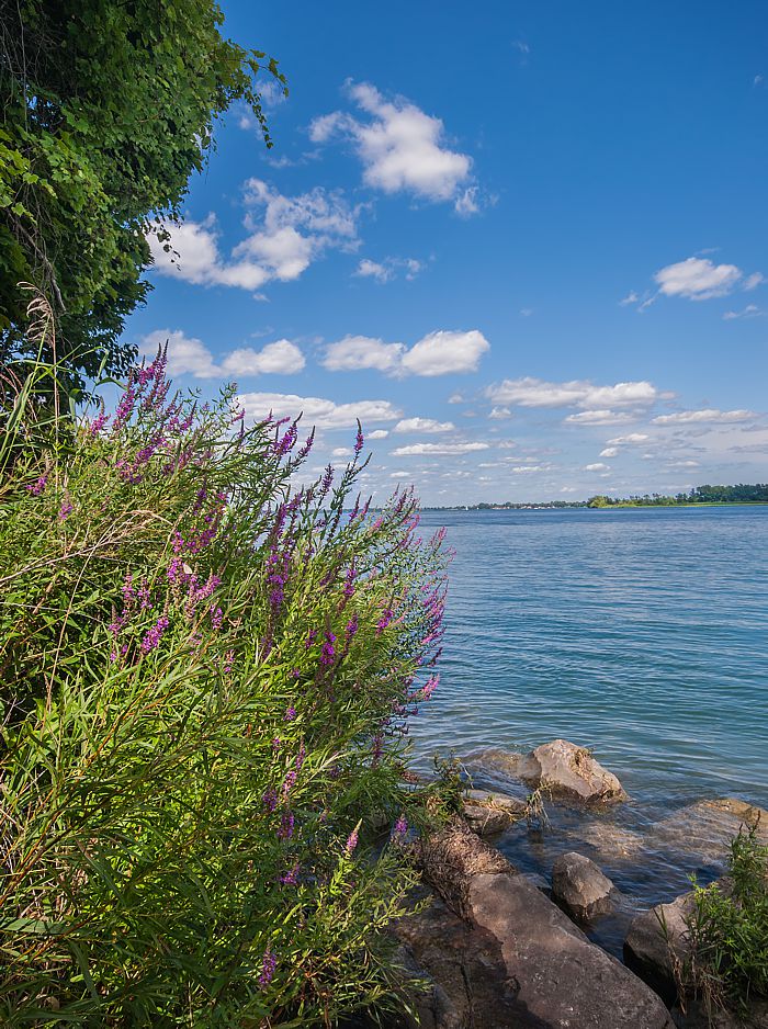 The Michigan lake shore. Do you have a vacation home in Holland? Call Katelynn for a decorating appointment.